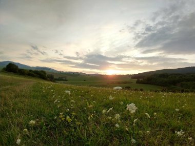 Yaz manzarası ve arka planda gün batımı