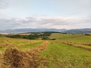 Yaz manzarası ve arka planda dağlar