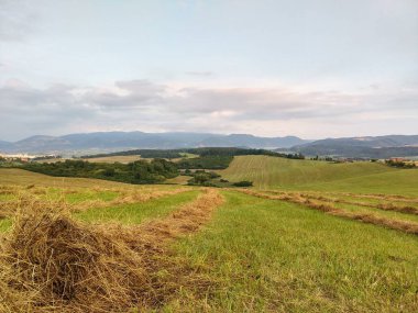 Yaz manzarası ve arka planda dağlar