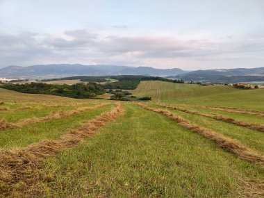 Yaz manzarası ve arka planda dağlar
