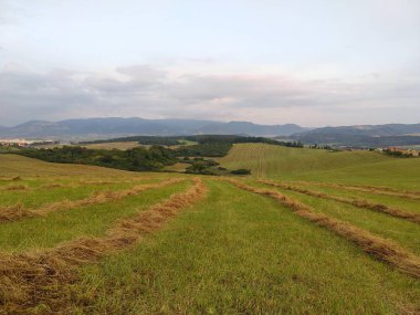 Yaz manzarası ve arka planda dağlar
