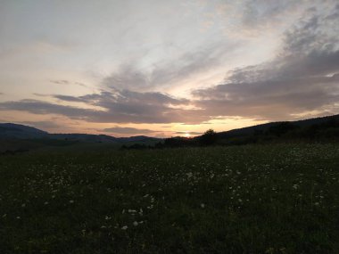 Yaz manzarası ve arka planda gün batımı