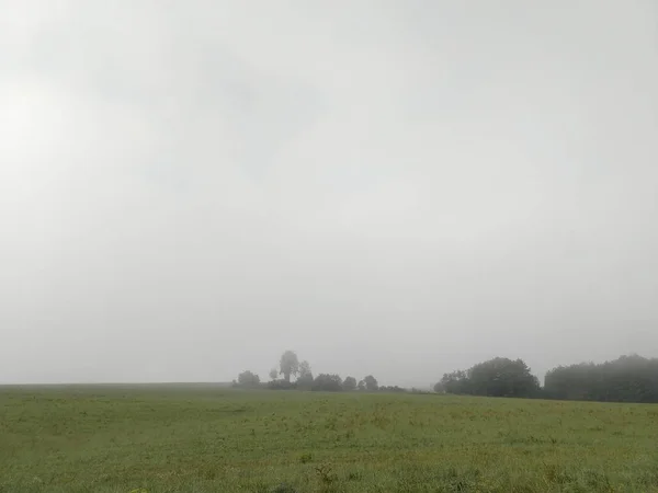 Grüne Wiese Mit Nebel Und Himmel — Stockfoto