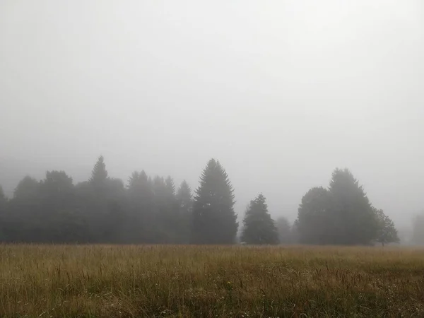 Champ Vert Avec Brouillard Ciel — Photo