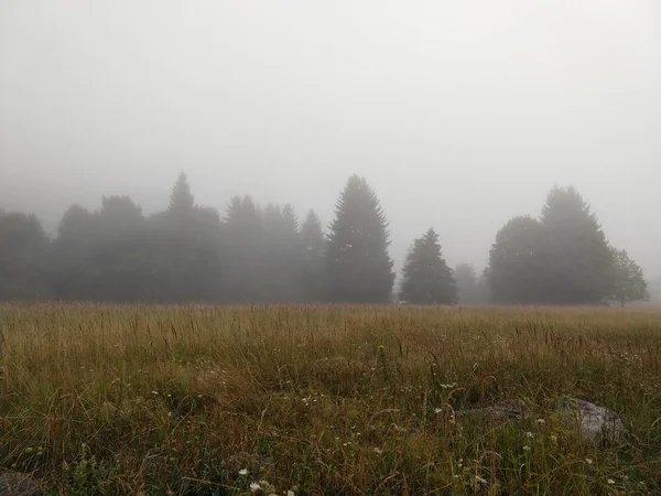 Πράσινο Πεδίο Ομίχλη Και Ουρανό — Φωτογραφία Αρχείου