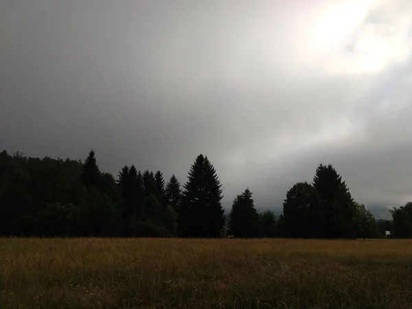 Letní Krajina Západ Slunce Pozadí — Stock fotografie