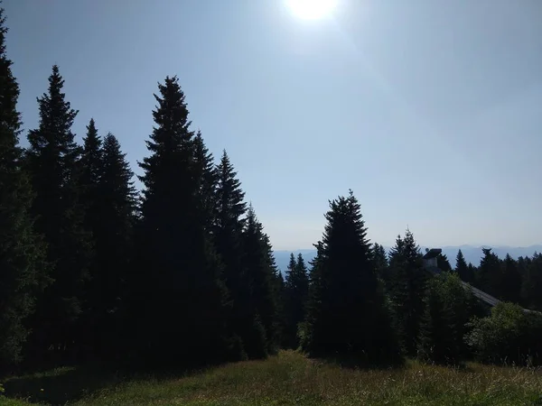 Letní Krajina Západ Slunce Pozadí — Stock fotografie