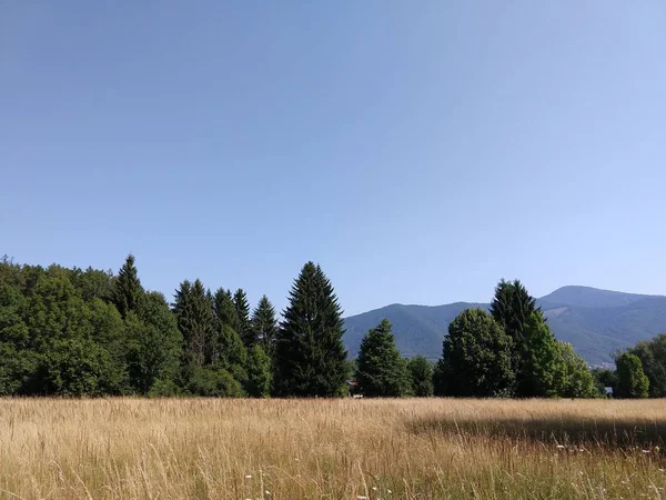 Yaz manzarası ve arka planda gün batımı