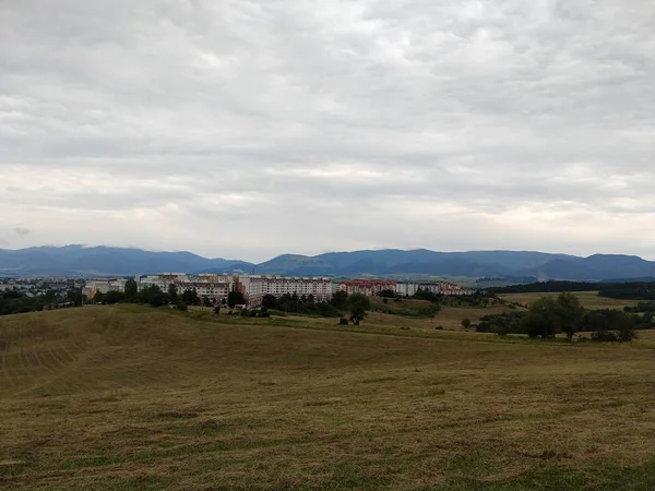 Літній Пейзаж Захід Сонця Фоні — стокове фото