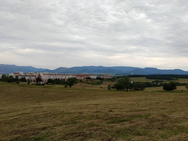 Yaz manzarası ve arka planda gün batımı