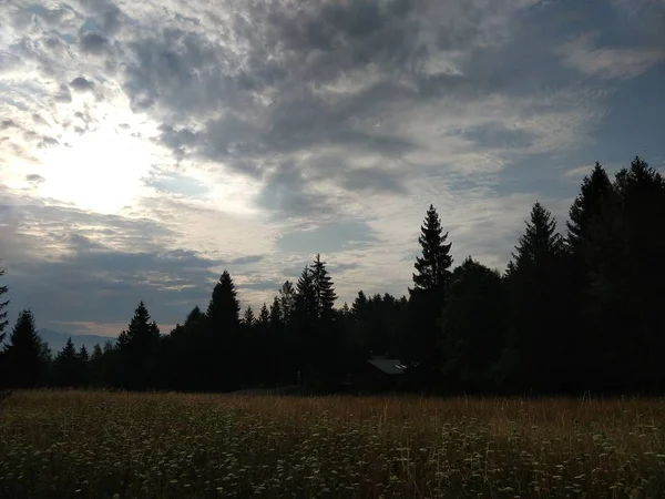 Zomer Landschap Zonsondergang Achtergrond — Stockfoto