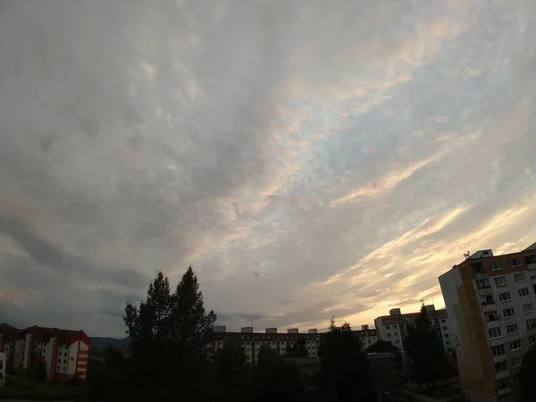 Uitzicht Stad Met Groene Bomen Zonsondergang — Stockfoto