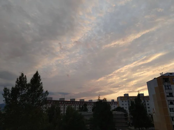 Vista Ciudad Con Árboles Verdes Puesta Sol —  Fotos de Stock