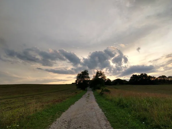 Letní Krajina Západ Slunce Pozadí — Stock fotografie