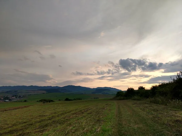 Paisaje Verano Puesta Sol Fondo — Foto de Stock