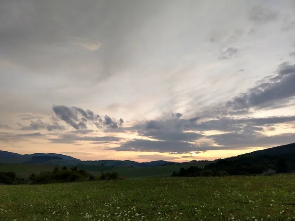 Letní Krajina Západ Slunce Pozadí — Stock fotografie