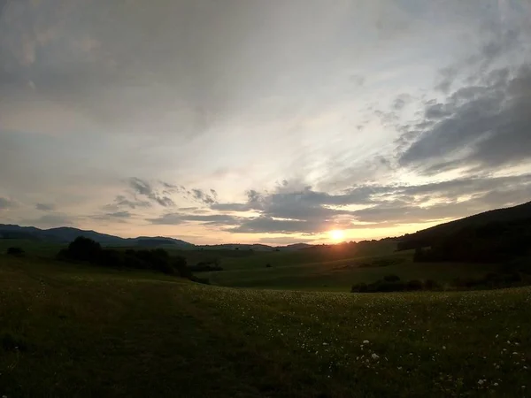 Paisaje Verano Puesta Sol Fondo — Foto de Stock