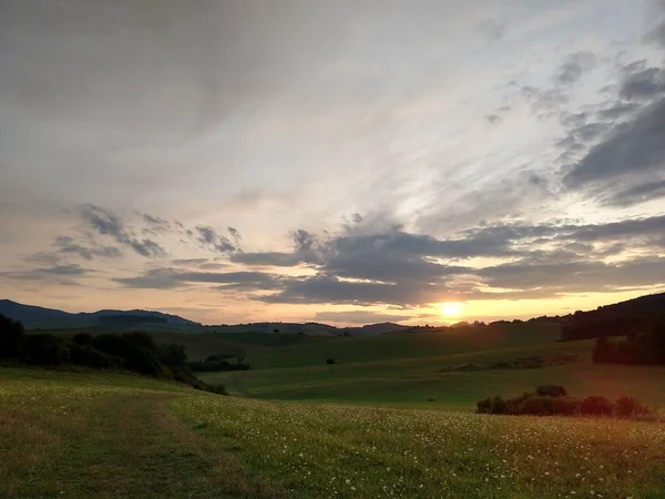 Літній Пейзаж Захід Сонця Фоні — стокове фото