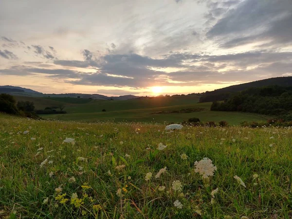 Sommar Landskap Och Solnedgång Bakgrunden — Stockfoto