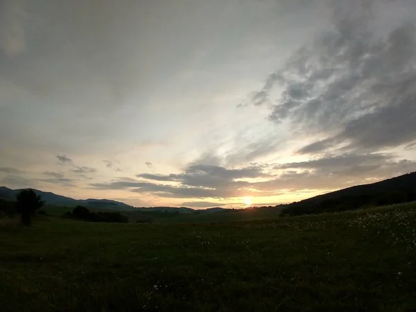 Zomer Landschap Zonsondergang Achtergrond — Stockfoto