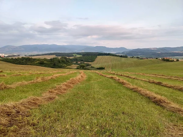 Yaz manzarası ve arka planda dağlar