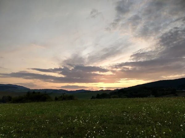 Letní Krajina Západ Slunce Pozadí — Stock fotografie