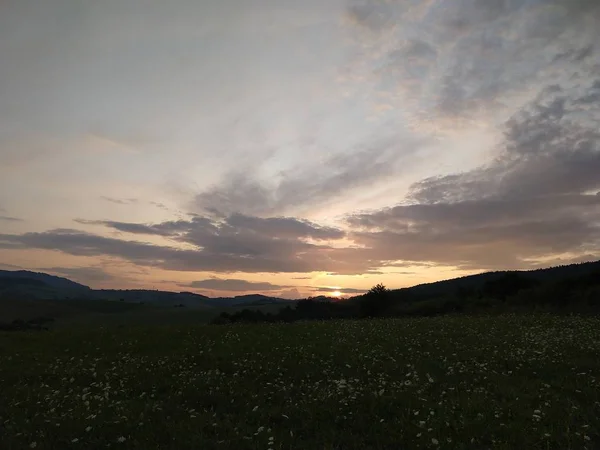 Letní Krajina Západ Slunce Pozadí — Stock fotografie