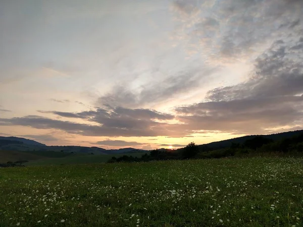 Paisaje Verano Puesta Sol Fondo — Foto de Stock