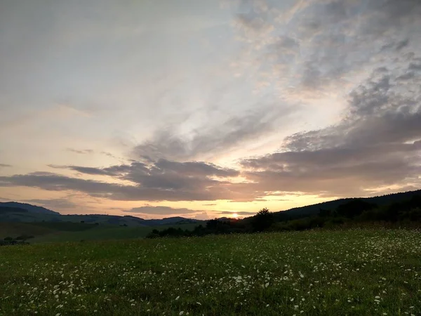 Літній Пейзаж Захід Сонця Фоні — стокове фото