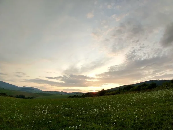 Yaz manzarası ve arka planda gün batımı