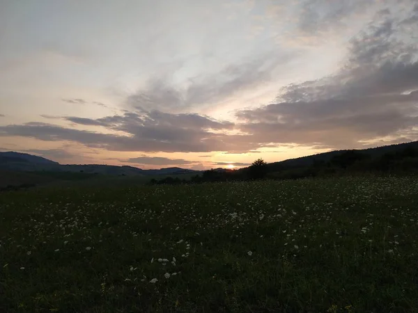 Літній Пейзаж Захід Сонця Фоні — стокове фото