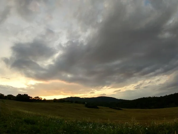 Letní Krajina Západ Slunce Pozadí — Stock fotografie