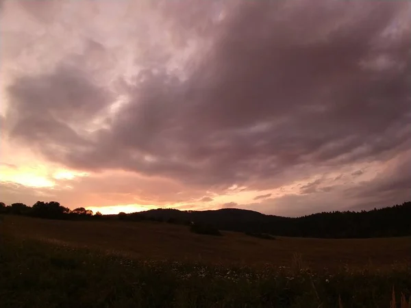 Letní Krajina Západ Slunce Pozadí — Stock fotografie