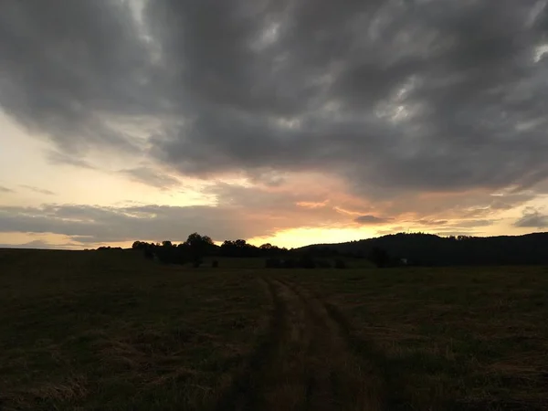 Letní Krajina Západ Slunce Pozadí — Stock fotografie