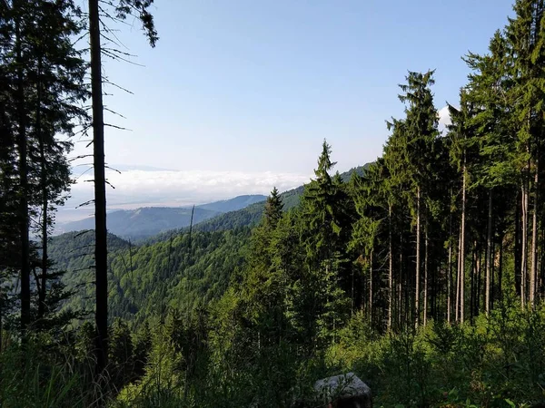 Malowniczą Drogą Drogi Słońca Parku Narodowym Glacier — Zdjęcie stockowe