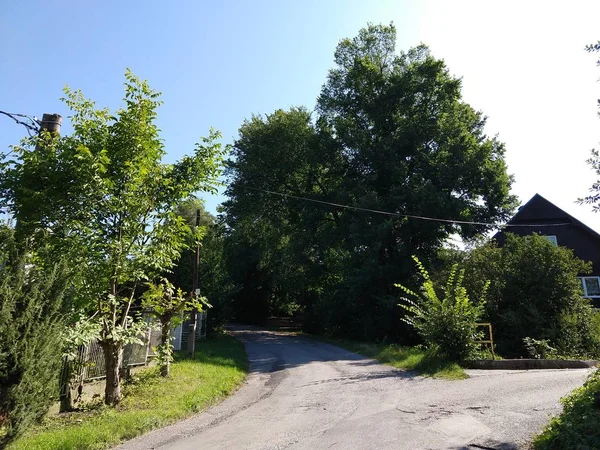 Strada Nel Villaggio Con Alberi Verdi — Foto Stock