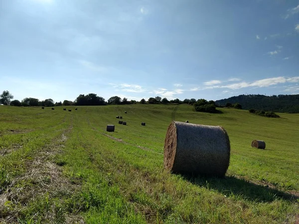 Szénakazalban Szénában Mezőn — Stock Fotó