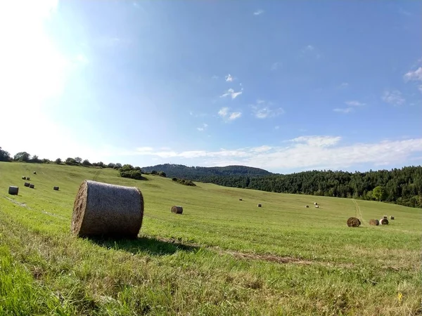 Szénakazalban Szénában Mezőn — Stock Fotó