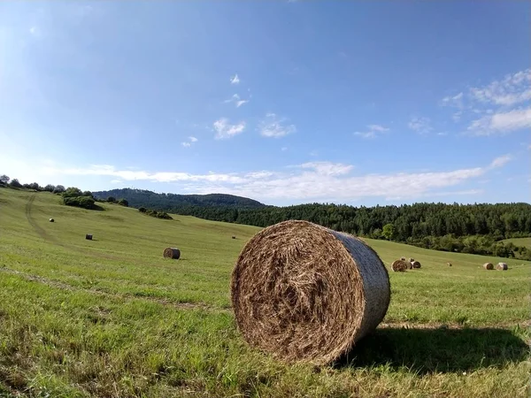 Szénakazalban Szénában Mezőn — Stock Fotó