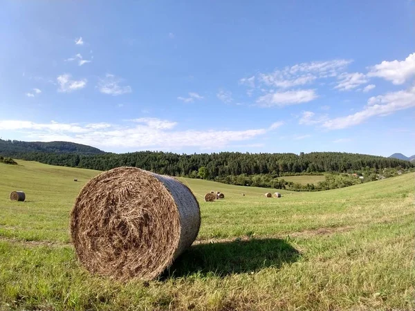 Szénakazalban Szénában Mezőn — Stock Fotó