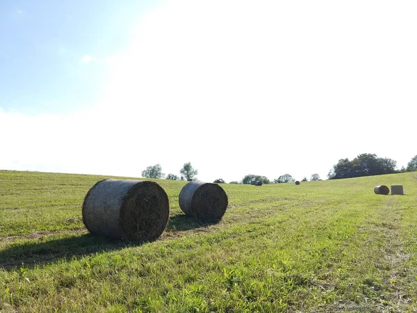 Haystacks Hay Field — Stockfoto