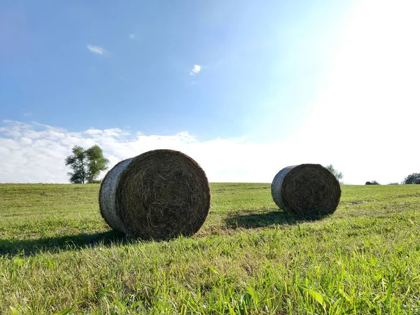 Szénakazalban Szénában Mezőn — Stock Fotó