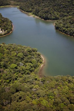 serracubatao doğal görünümü, yaz gününde Brezilya 