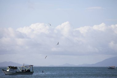 Paraty, Brezilya - Ocak, 2017: Paraty'nin manzara manzarası, Yaz günü Ilho do Pelado