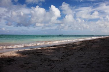Maragogi al praia do xaru doğal görünümü
