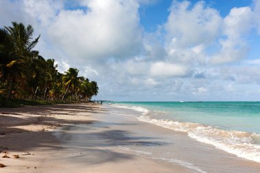 Maragogi al praia do xaru doğal görünümü