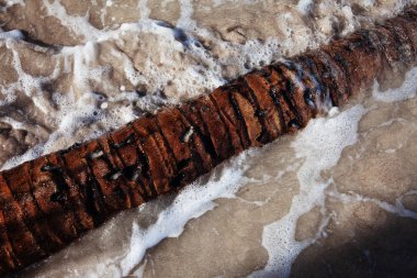 Maragogi al praia do xaru doğal görünümü