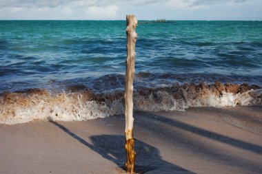 Maragogi al praia do xaru doğal görünümü