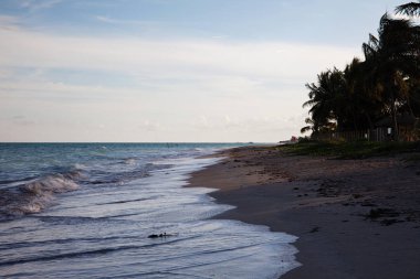 Maragogi al praia do xaru doğal görünümü