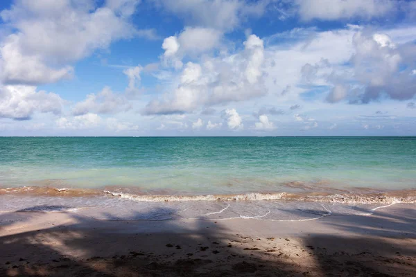 Vista Panorámica Maragogi Praia Xaru —  Fotos de Stock